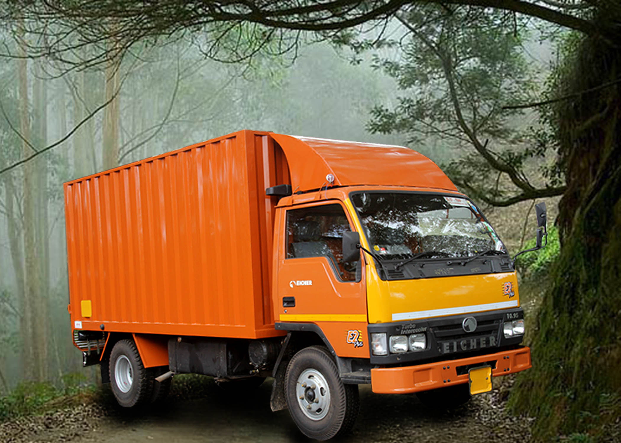 Eicher 10.95